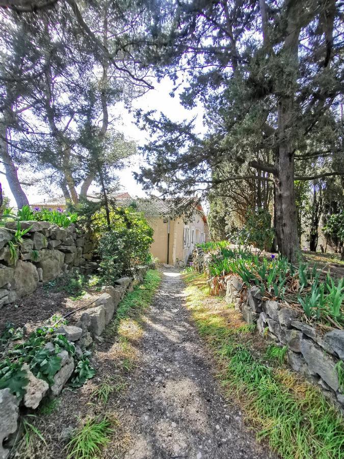 La Pinede Apartment Azillanet Luaran gambar