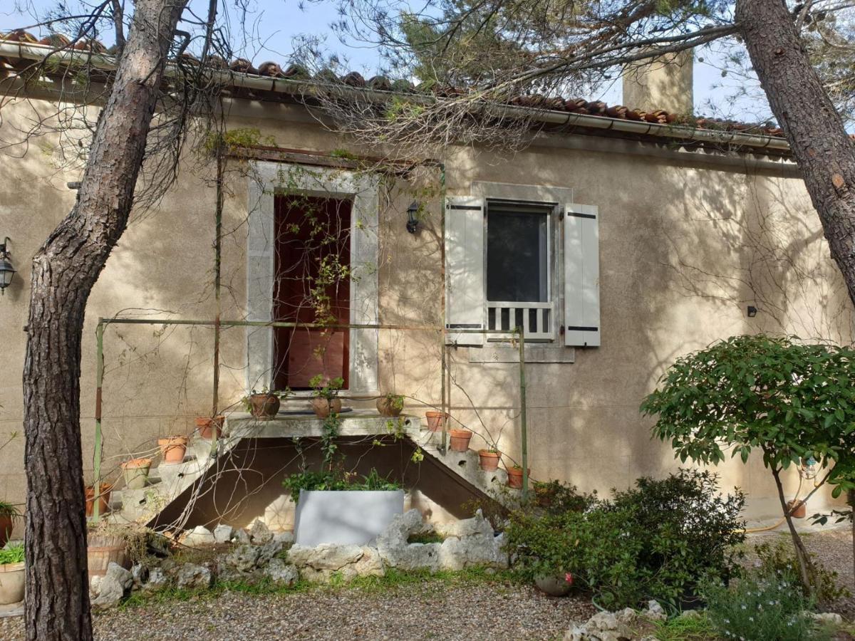 La Pinede Apartment Azillanet Luaran gambar